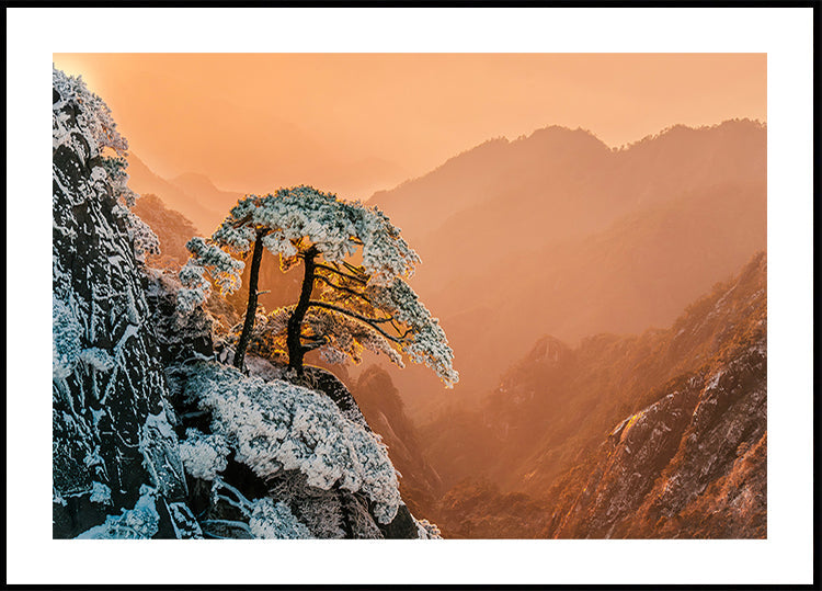 Pôster Resiliência no Limite