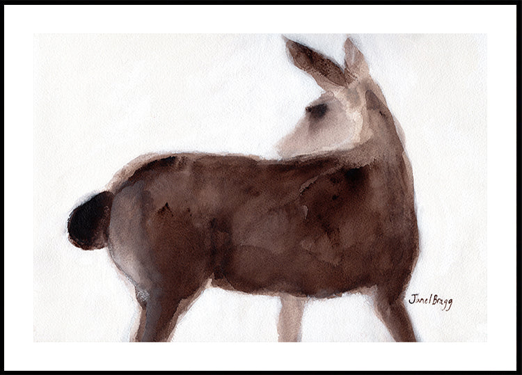 Póster Cervos na pista de Creekside