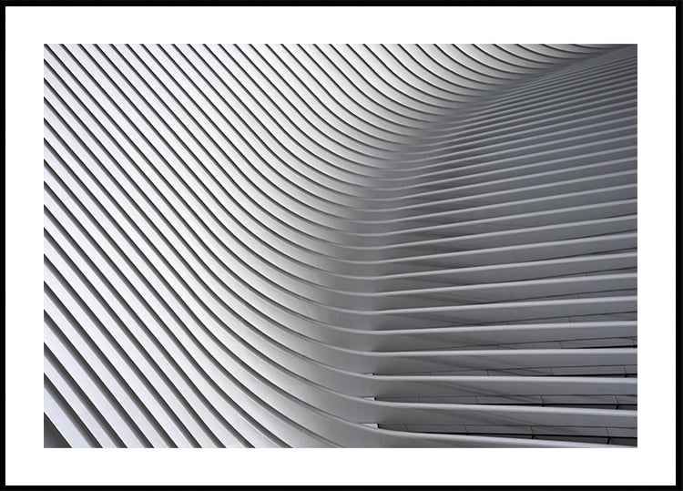 Pôster Curvas de Calatrava #2