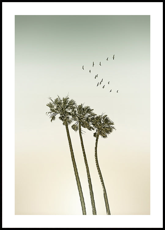 Póster Palmeiras minimalistas vintage e pôr do sol