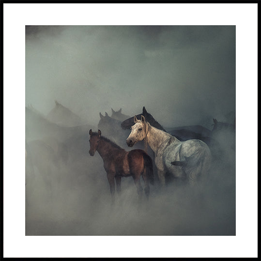 Póster Os cavalos perdidos