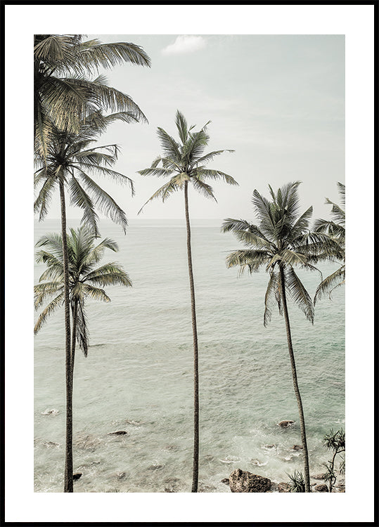 Pôster de sonhos tropicais