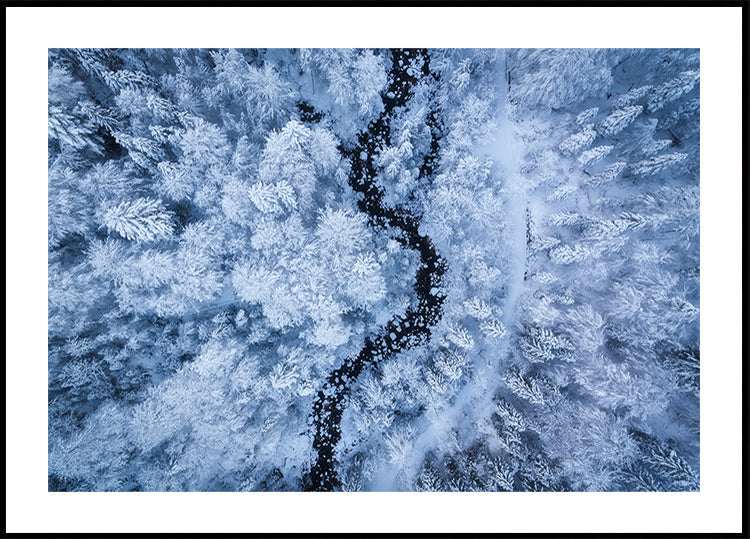 Um pôster de beleza gelada