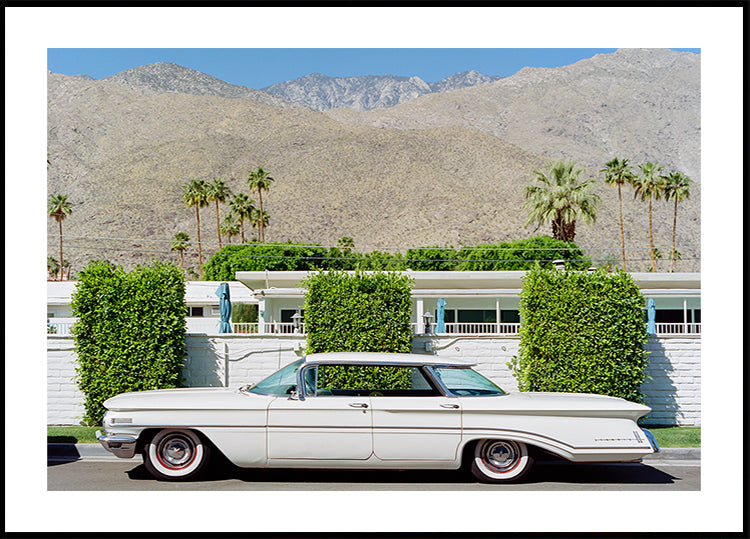 Passeio em Palm Springs