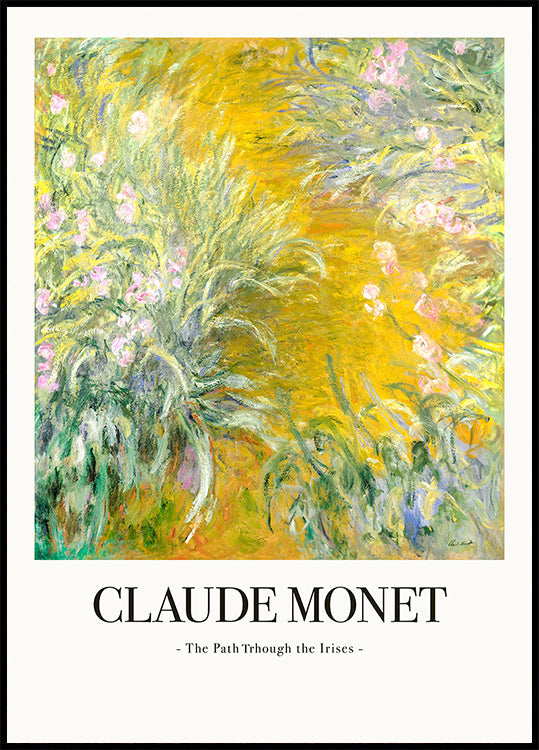 Pôster O caminho através das íris