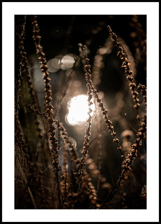 Luzes de outono 2