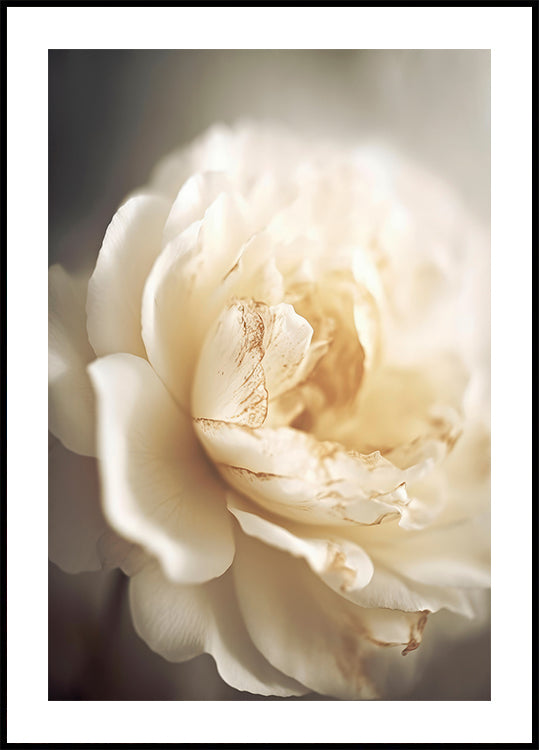 Flor Etérea