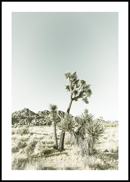 Poster Impressão Vintage do Parque Nacional Joshua Tree