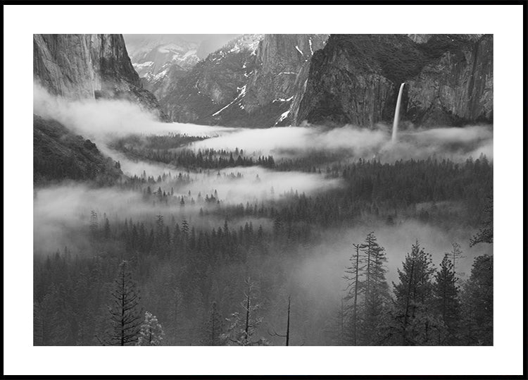 Nevoeiro flutuando no vale de Yosemite