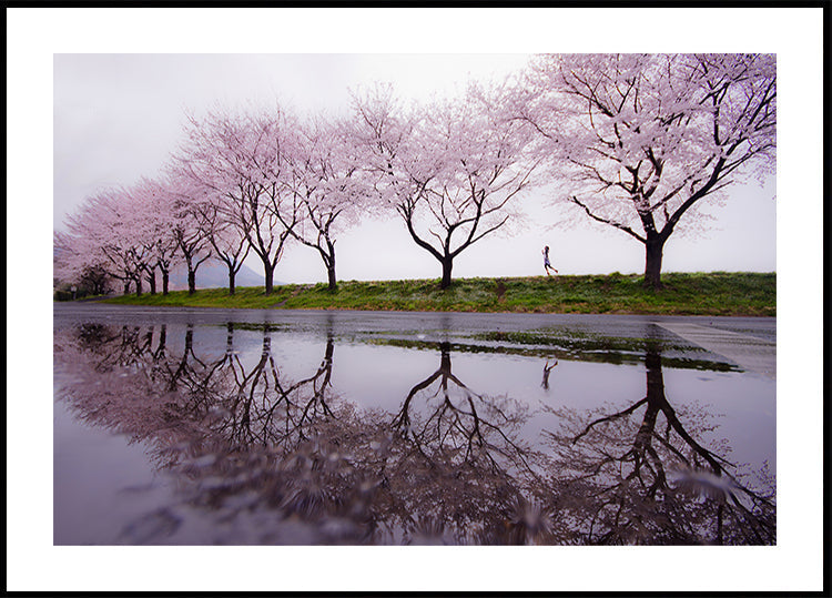 Chuva de primavera