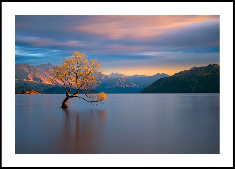 Pôster Brilho da Manhã