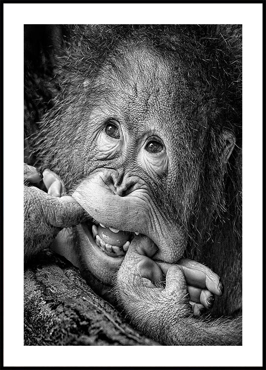 Póster Grande Sorriso.....por favor