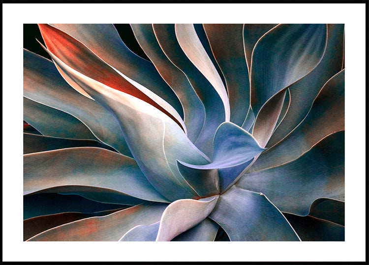 Póster As cores nas folhas