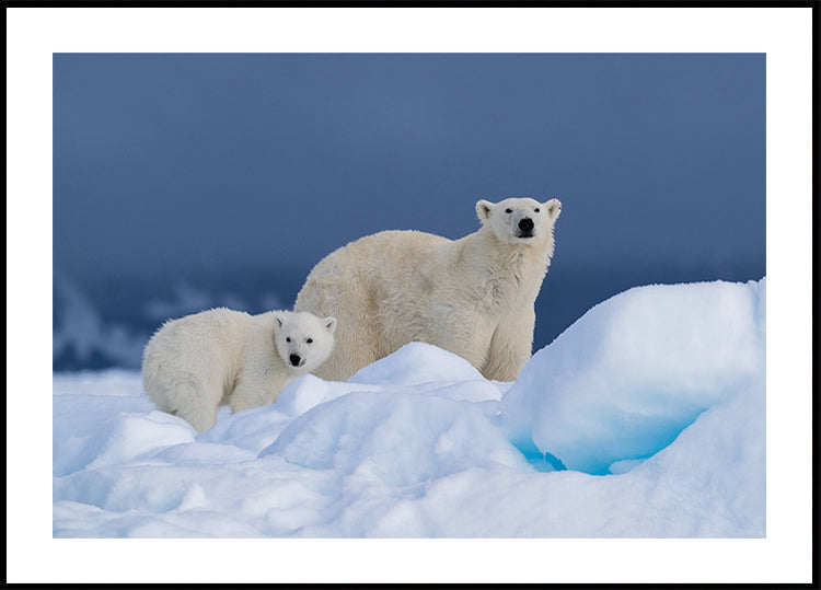 Póster Mommy and baby