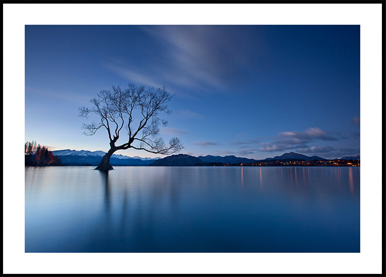 Wanaka Crepúsculo