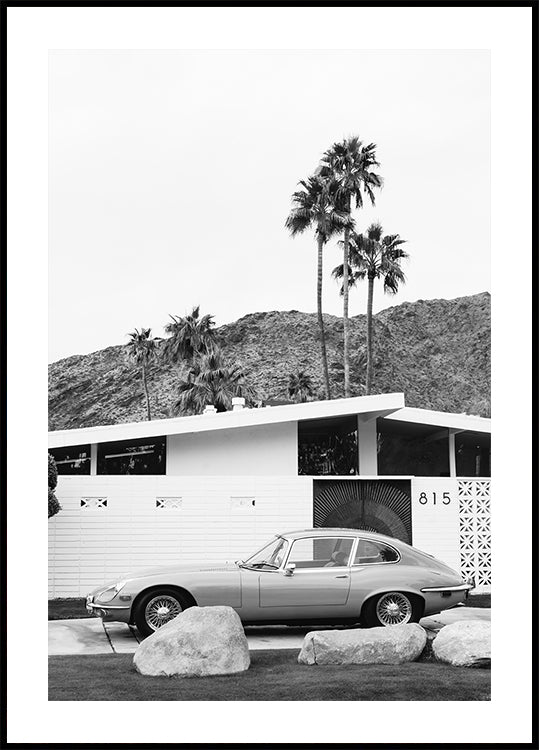 Póster Passeio II de Palm Springs