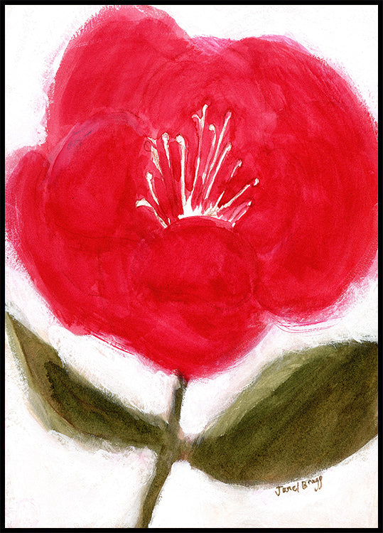 Póster Floral em vermelho para Cierra