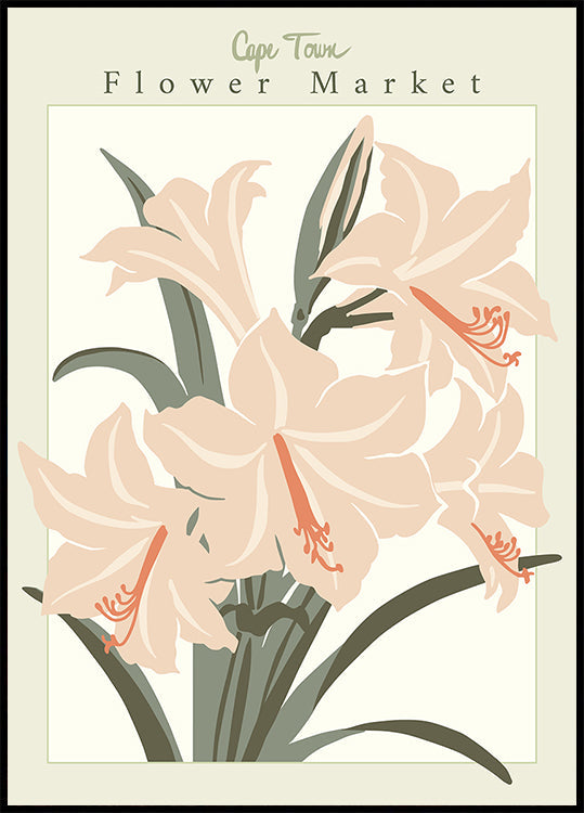 Póster Amaryllis da cidade do tampão de mercado da flor