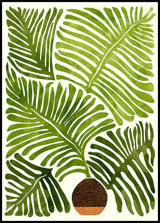 Samambaia de verão