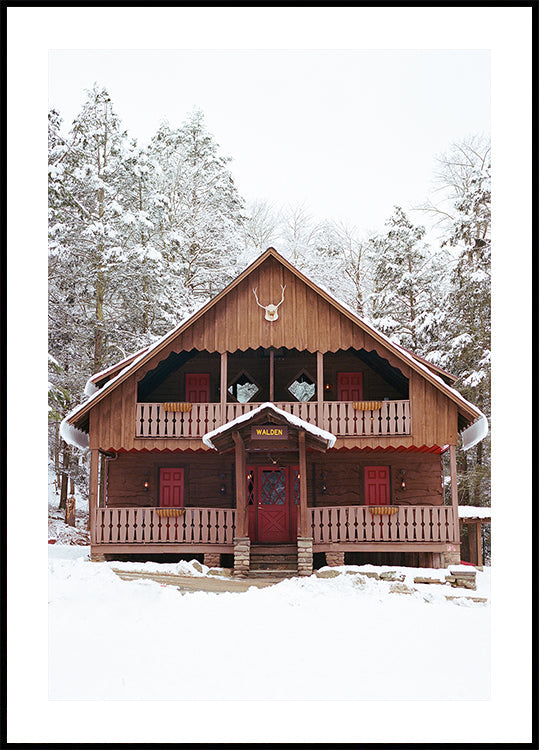 Pôster Neve XI do norte do estado de Nova York