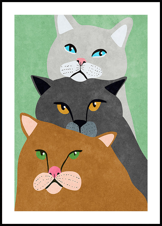 Pôster Trio de Gato