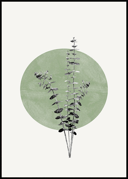 Pôster Eco da Natureza