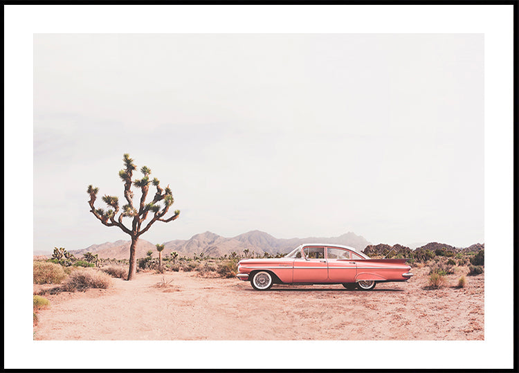 Póster Desert
