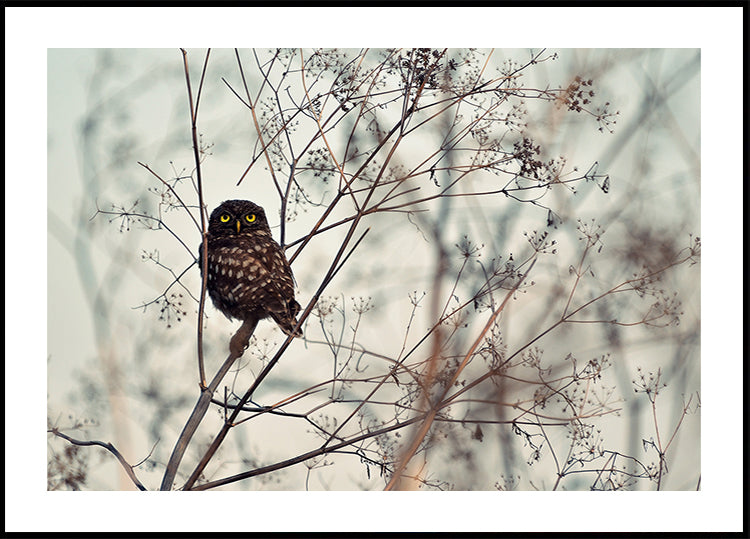 Olhe para mim! Poster