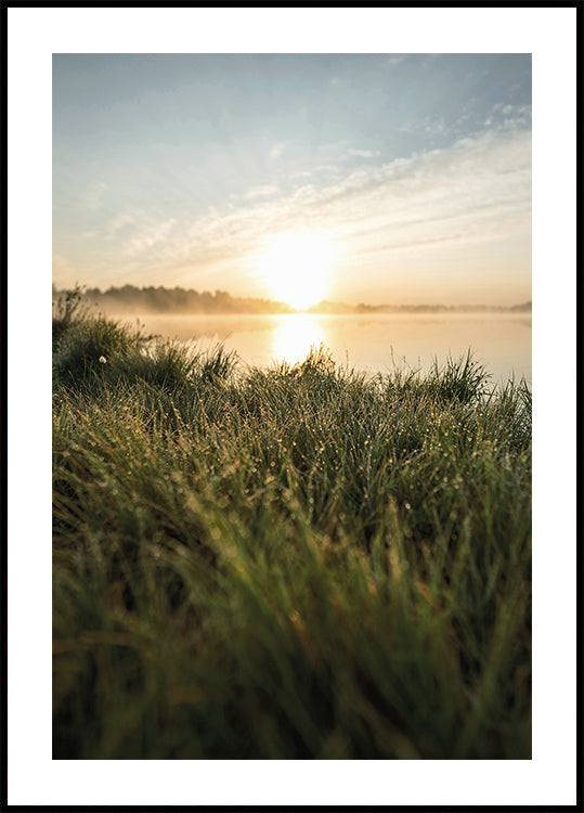 Dewy Dawn by the Lake Plakat - Posterbox.dk