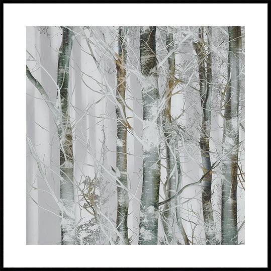 Silver branches Plakater
