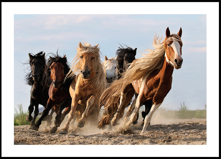 Póster Seis Sortudos