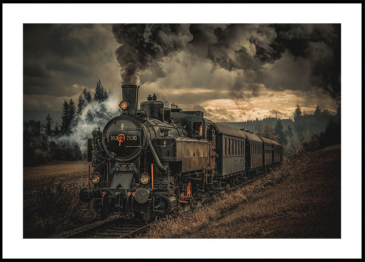 Póster Gold digger train