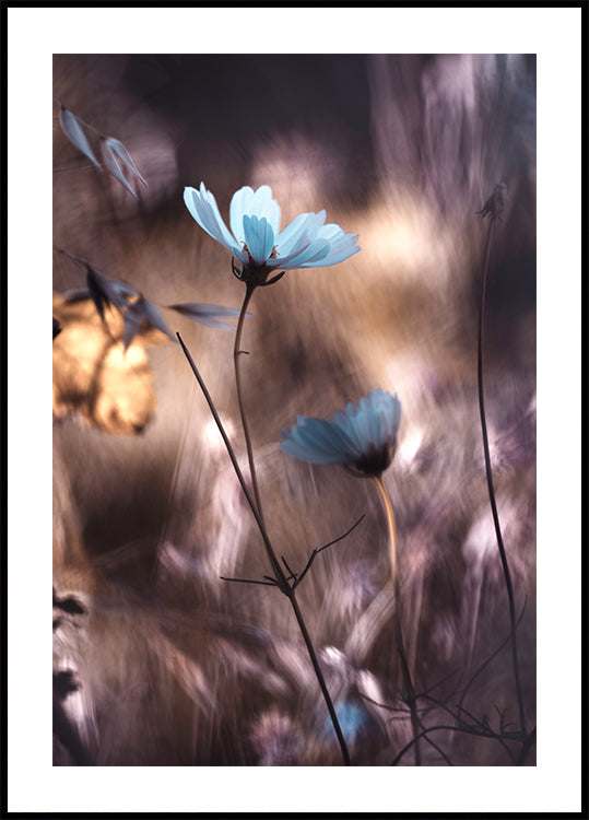 Lueur d’Automne