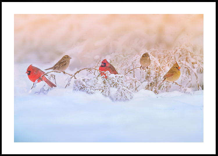 Snowy Morning  Party Plakat