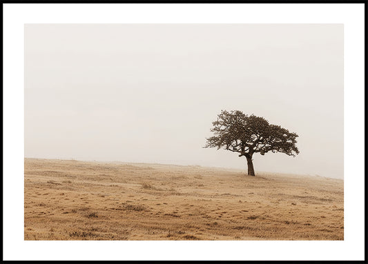 Pôster de campo gramado de outono e árvore solitária