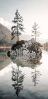 Tranquil Reflections at Lake Hintersee Plakat - Posterbox.dk