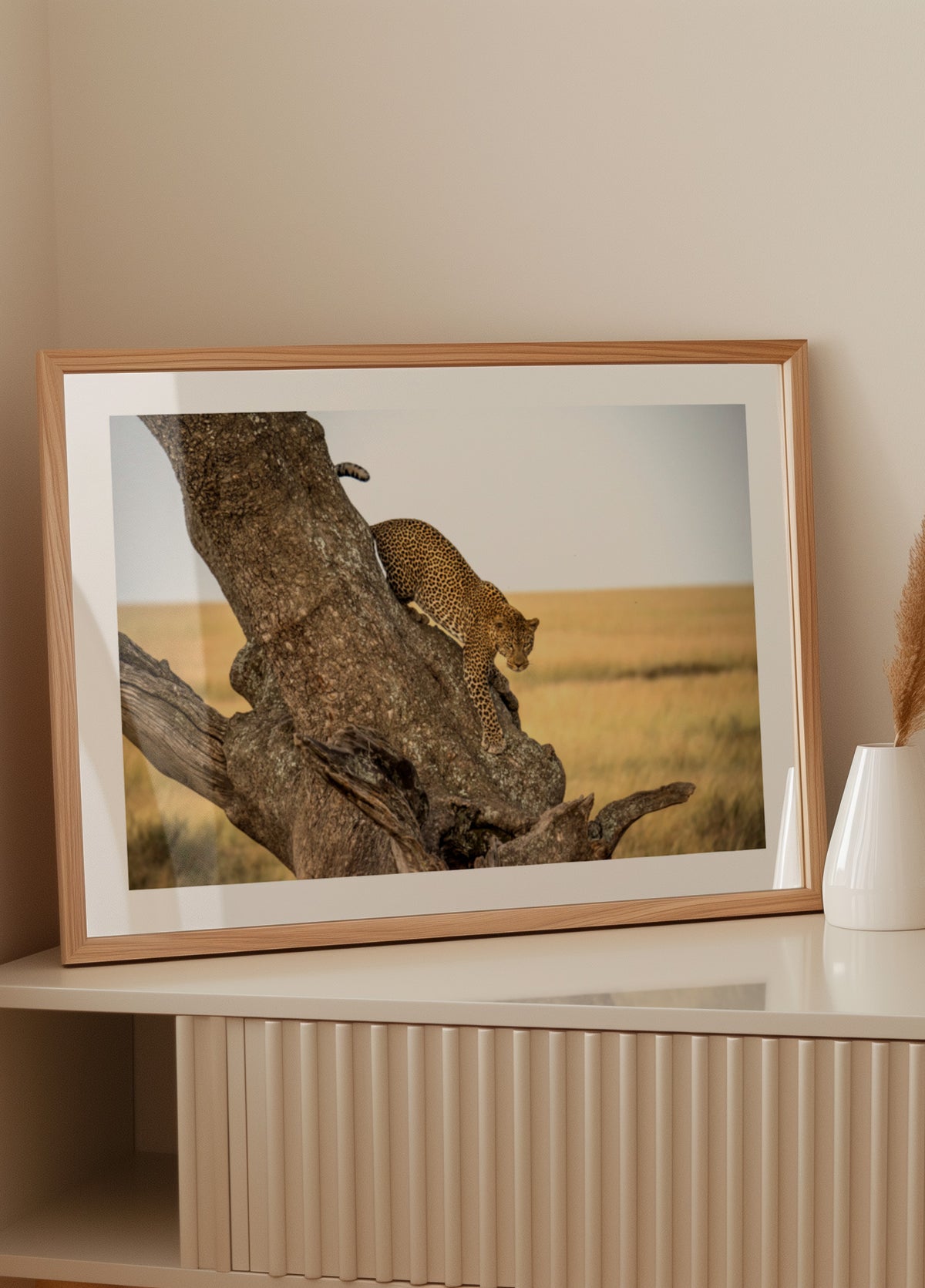 Árvore descendente de leopardo