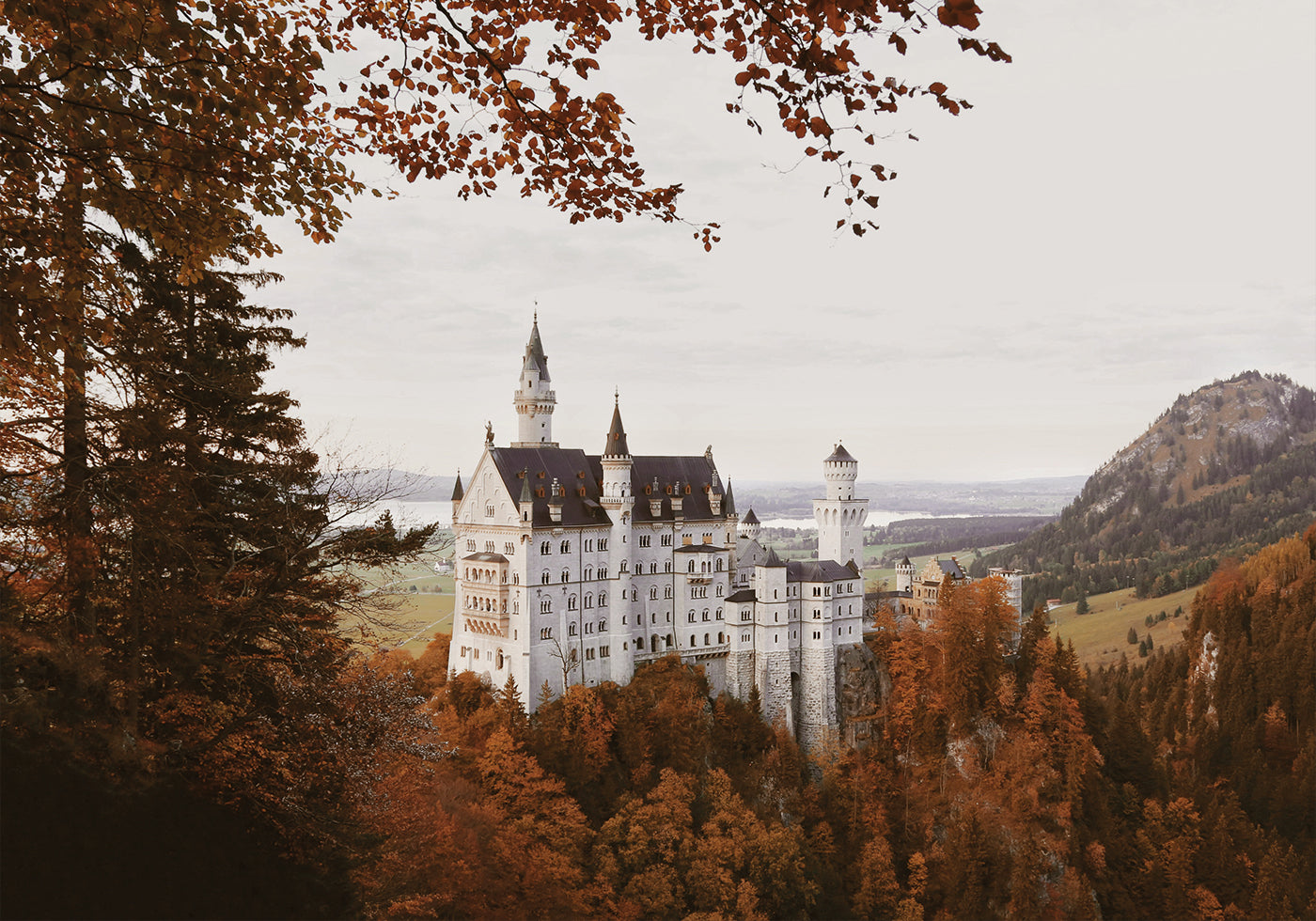 Pôster Castelo de Neuschwanstein no outono 
