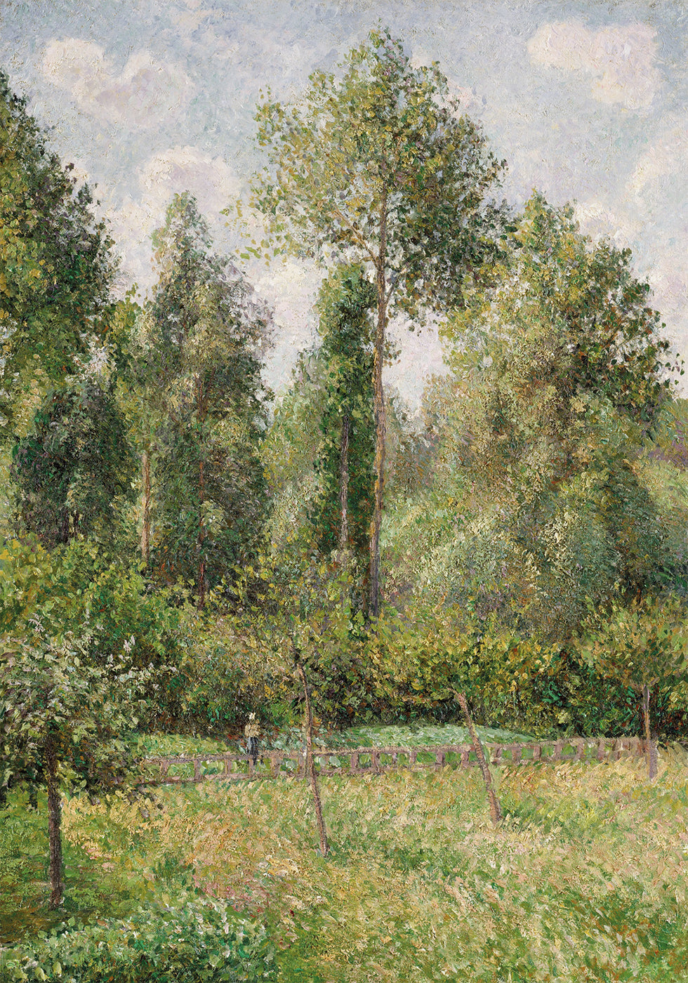 Pôster de Álamos Éragny por Camille Pissarro 