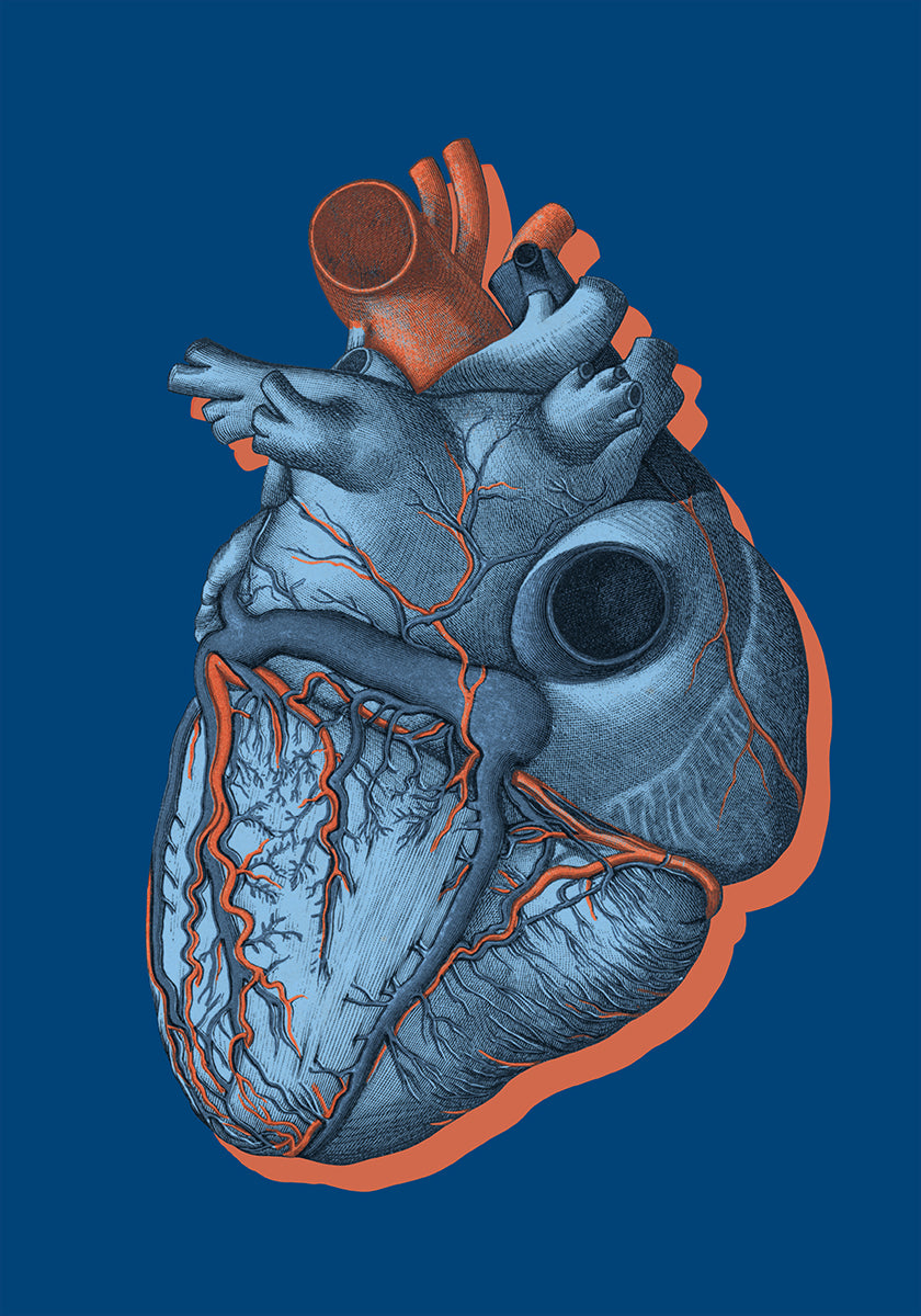 It Is Called a Heart (NEW) - Posterbox