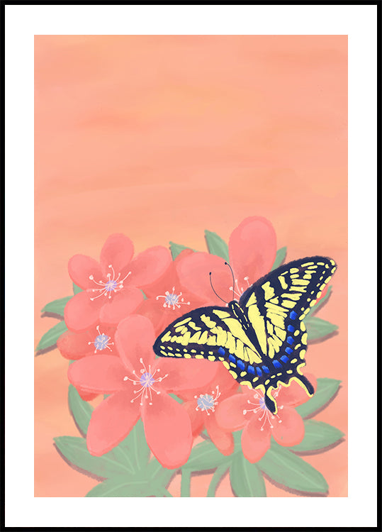 Uma borboleta amarela e preta repousa sobre flores rosa sobre um fundo cor de pêssego.