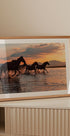 WATER HORSES Plakat - Posterbox