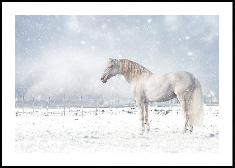 Let it snow... Plakat - Posterbox