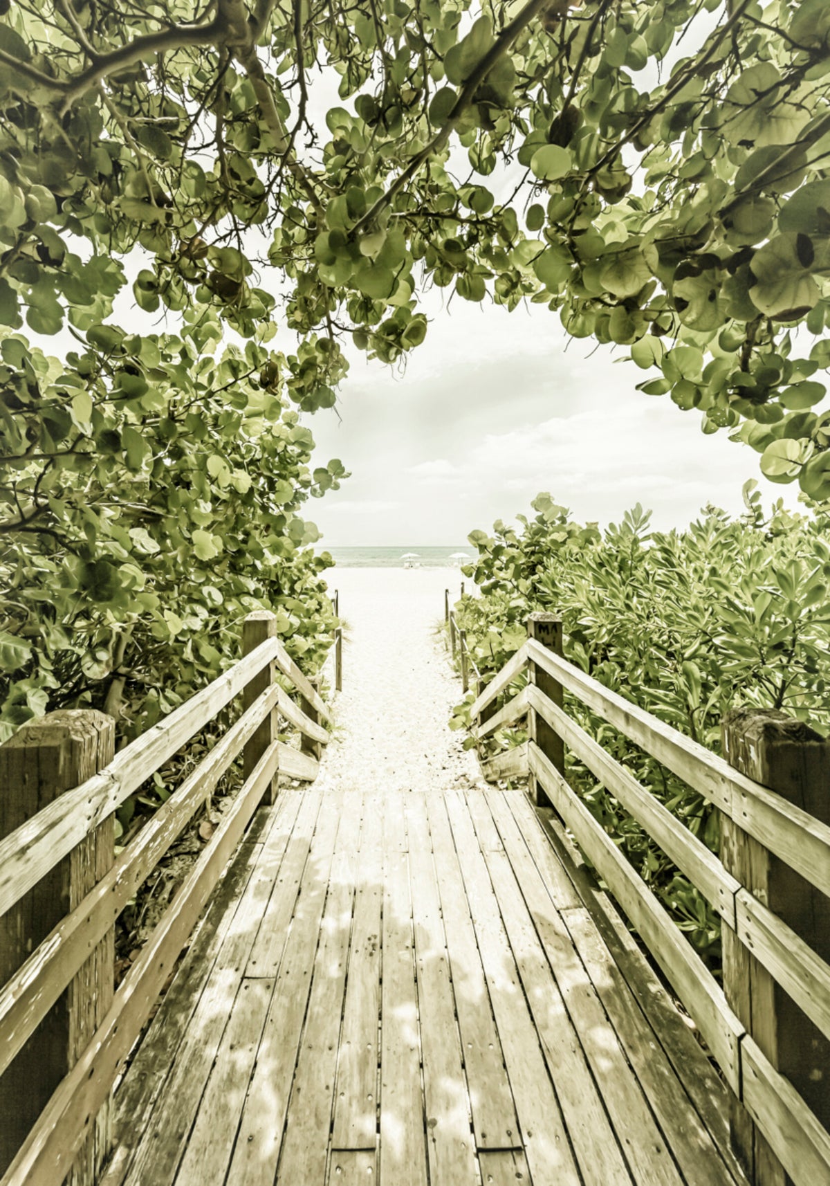 Caminho da praia tropical
