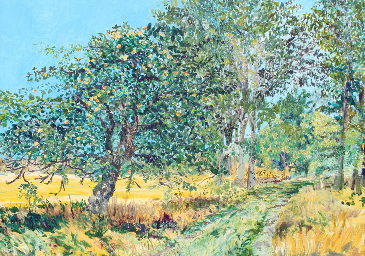 Caminho ensolarado do pomar
