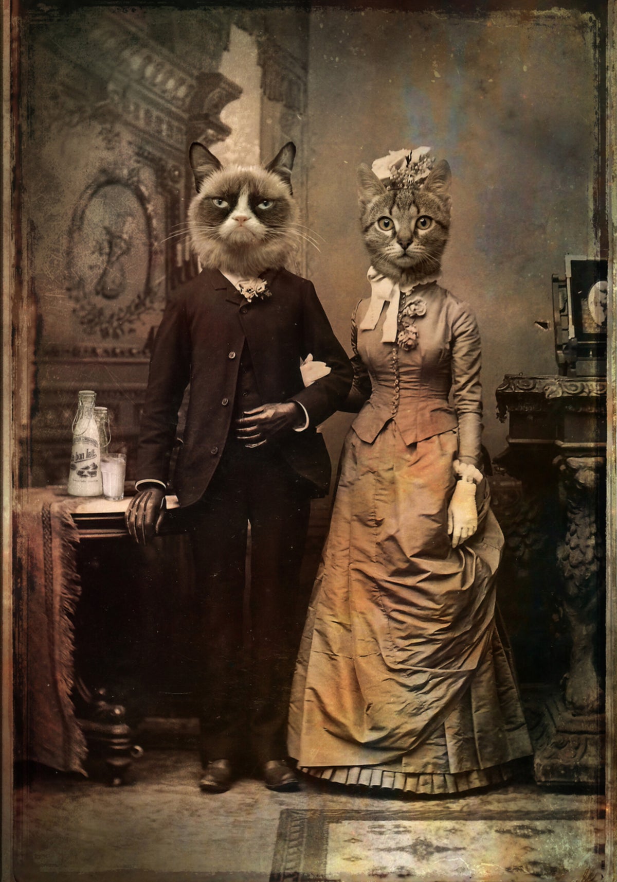 Casal de gatos vitorianos