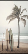 Pranchas de praia serenas