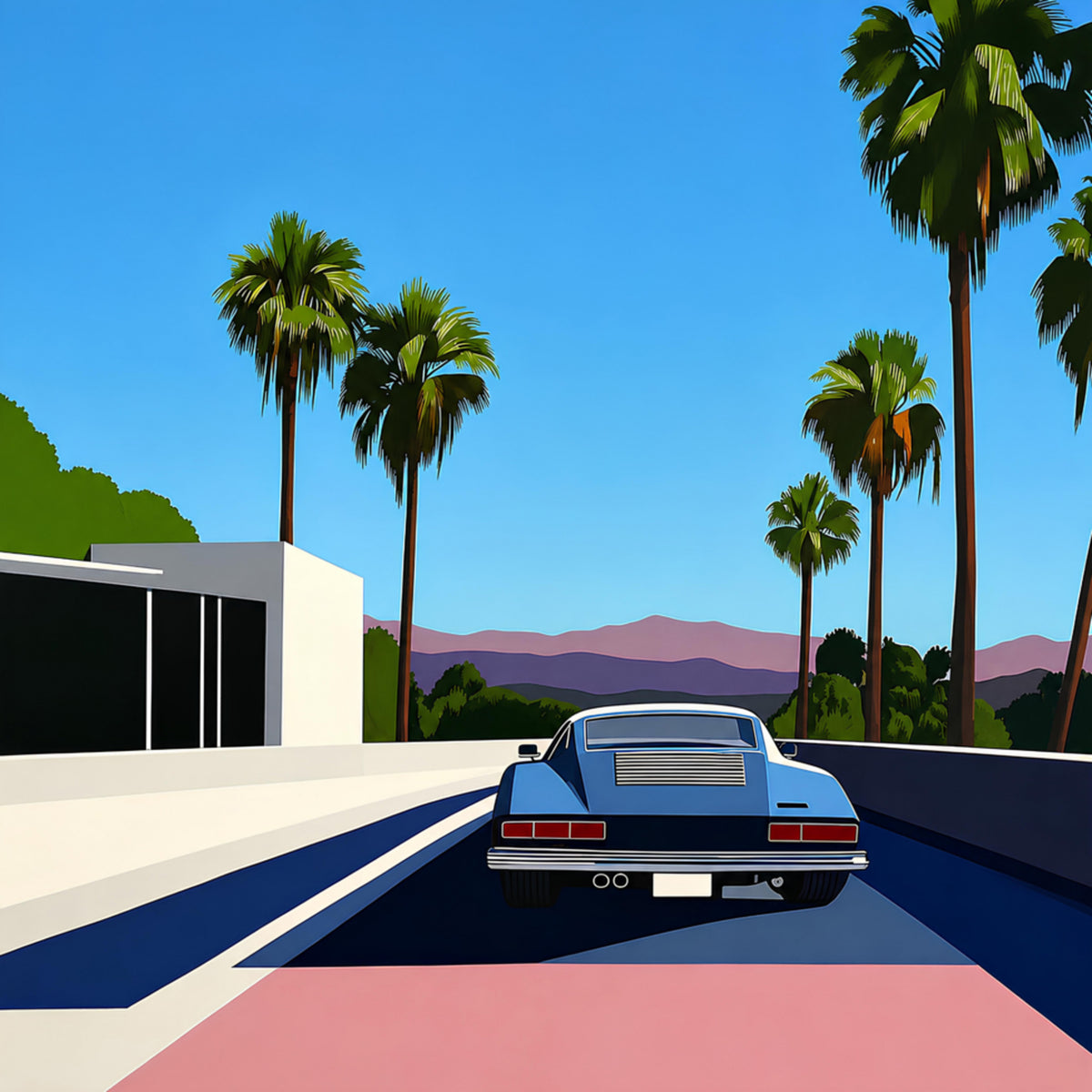 Palm drive retrô