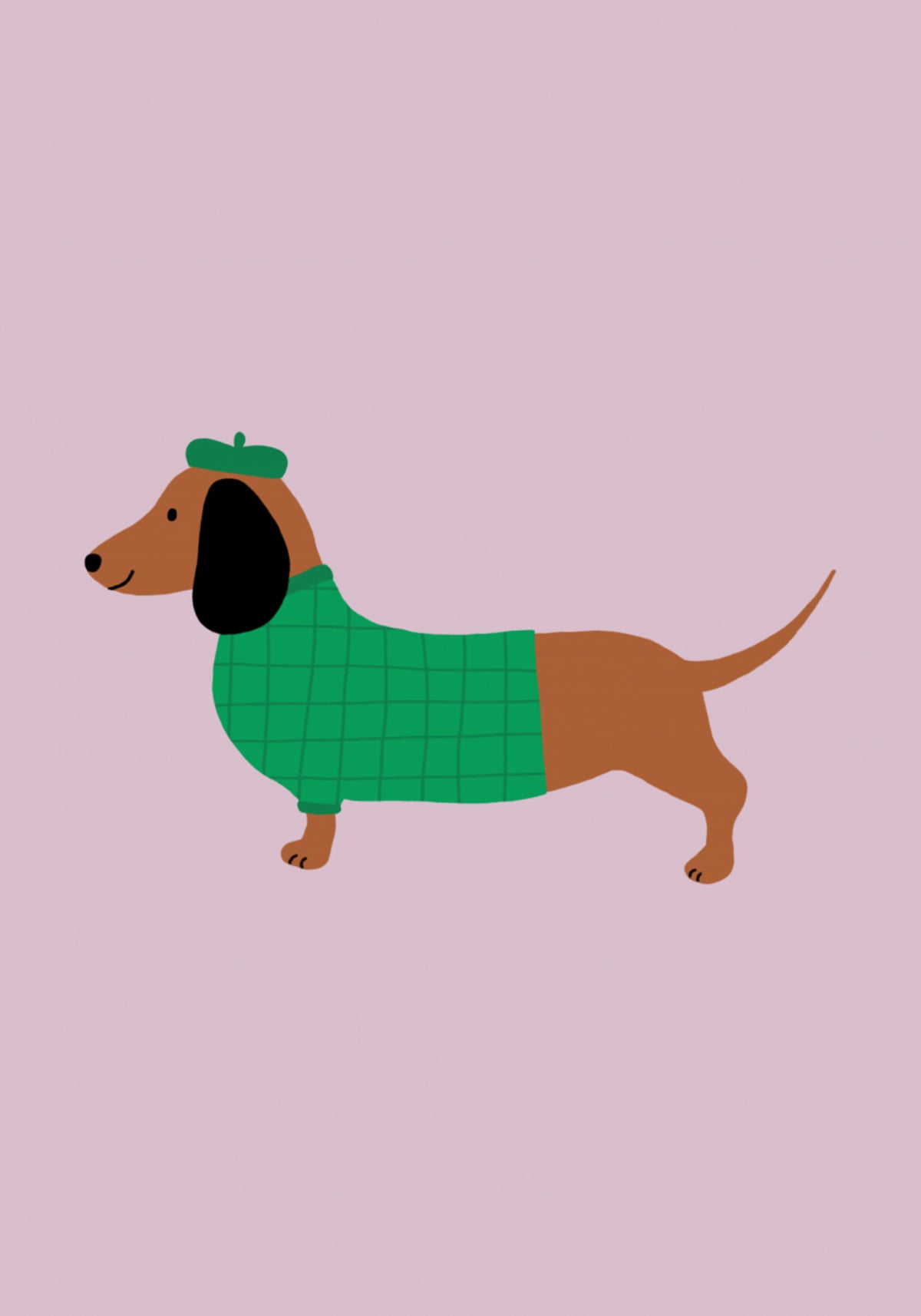 Cachorro elegante com suéter