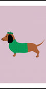 Dapper Dog in Sweater